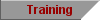 training